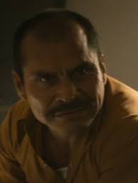 Rafael clavel moreno , señalado de enamorar y matar a la esposa de héctor el güero palma , uno de los líderes del cártel. Rafael Aguilar Guajardo Narcos Wiki Fandom
