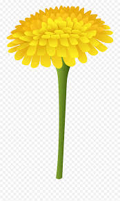 Pngtree provides millions of free png, vectors. Dandelion Png Clip Art Imageu200b Dandelion Clipart Png Dandelion Png Free Transparent Png Images Pngaaa Com