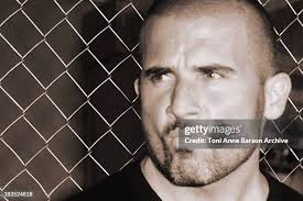 91 Dominic Reed Stock Photos, High-Res Pictures, and Images