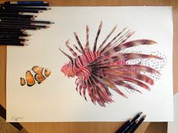 Clownfish And His Friend Drawing By Atomiccircus On Deviantart This tutorial will help you learn the process of making a clown fish through the use of the gradient mesh tool.