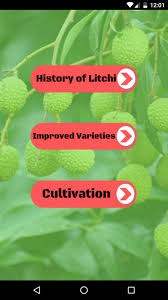 Litchi v4.20.0 apk (full patched). Litchi Life For Android Apk Download