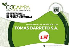 Tomas Barreto S.A.