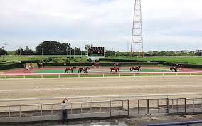 Фурудатэ харуити / furudate haruichi / 古舘春一. åœŸåœ°æ‰€æœ‰è€… ç¬ æ¾ç«¶é¦¬ã«åœ§åŠ› Agb Nippon
