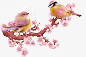Peach Blossom Birds Peach Clipart Birdie Lovely Png Transparent Image And Clipart For Free Download Peach Blossoms Birds Painting Birds
