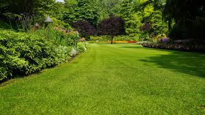 Maybe you would like to learn more about one of these? How To Grow Grass Fast This Old House