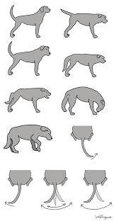 Your Dog S Tail Relays Secret Information So Glad I Know This Now Dog Care Puppies Dog Behavior