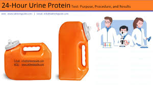 A protein in urine test measures how much protein is in your urine. 24 Hour Urine Protein Lab Tests Guide