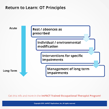 Impact Trained Occupational Therapist Impact Applications Inc Training Occupational Therapist Pathophysiology Of Rheumatoid Arthritis Therapist