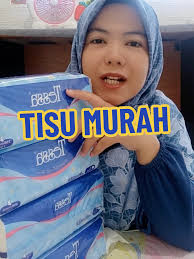 Tisu Tessa Kecil Isi 50 Sheet 1 Dus