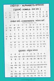 Odia To Hindi Alphabet Odia English Hindi Word Book Seg