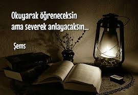 Hz Mevlana Tebrizli Sems Panosundaki Pin