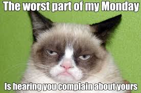 This is just a fan page to show my devotion to tardar sauce! 100 Funny Grumpy Cat Memes About The Famous Internet Feline Geeks On Coffee