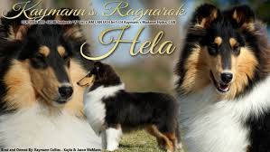 Canuck Dogs: Your source for Canadian dog event information online.