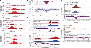 Loop Extrusion As A Mechanism For Formation Of Dna Damage Repair Foci Nature
