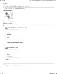 Assign cell drawings and functions for students to do from hrw modern biology. Ch 7 8 And 9 Mastering Bio Homework Studocu