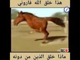 هذا خلق الله فاروني ماذا خلق الذين من دونه Youtube Youtube