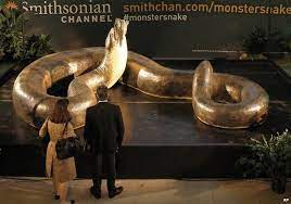 Just click here and right click on the image that opens in a new window and save to your computer. The Giant Snake That Stalked The Earth Bbc News