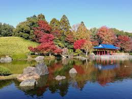 Daisen Park Japanese Garden (2025) - All You Need to Know BEFORE You Go  (with Reviews)