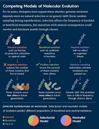 Image result for evidence in mutation