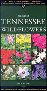 Buy nursery propagated plant material. All About Tennessee Wildflowers Midgley Jan W Tatum Travis 9781581732191 Amazon Com Books