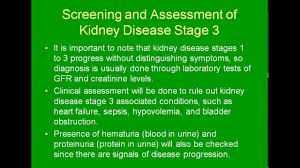 Disease guideline development work group members. Understanding Stage 3 Kidney Failure Youtube
