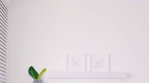 白い壁と2つのフレームと観葉植物の無料の背景画像です zoomやskypeでのリモートワークや打ち合わせのバーチャル背景としてお使いください 白い壁 インテリア 収納 インテリア 家具