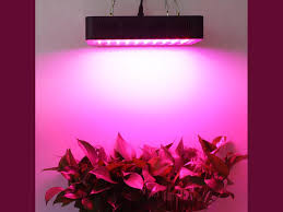 Maybe you would like to learn more about one of these? Lightmetunnel 300w Led Grow Light Review Help Indoor Plants Thrive