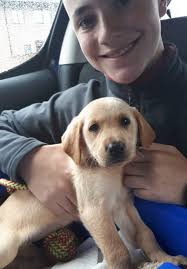 Happy 21st to the messer Gerard Cullen! Hope you have a great day! From dad  and mam Sharon Cullen