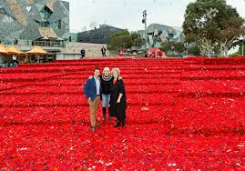 Image result for Poppy Red 1999 AAV