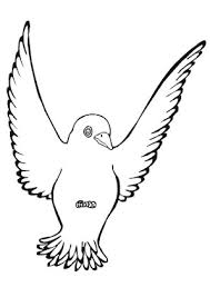 Ausmalbild Amsel Zum Ausdrucken
