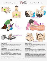 As a fitness professional, we might face situations where we will need to provide primary care during emergency. Bls Algorithms 2020 Basic Life Support