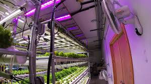 We did not find results for: Technical Data Sunblaster Lighting