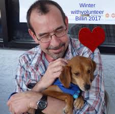 So while banging onto Susan Phillips that you rarely see any dogs we turned  the corner and there were 13 dogs lying snoozing