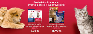 Kedikumum Com Home Facebook