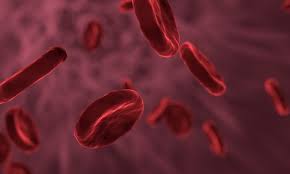 Non mangiare bene o bassi livelli di alcune vitamine, come l'acido folico e la vitamina b12, possono influenzare il modo in cui il tuo corpo produce i globuli bianchi. Come Alzare I Globuli Bianchi Dopo Chemioterapia Il Portale Del Benessere