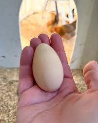 Melissa Caughey (@tillysnest) • Instagram photos and videos