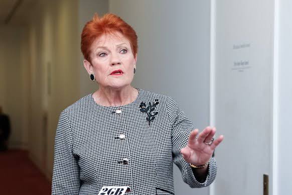 Pauline Hanson migration policy: One Nation leader's conflicting comments on migration and visas