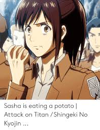 Marcoooooooo sasha the way aot/snk fans get each others attention sleeping levi has a point death by lego we people of the manga know schediophilia why people think germans are always angry levi and cleaning when someone insults aot/snk jean throwing shade jean vs. 25 Best Memes About Sasha Braus Death Sasha Braus Death Memes
