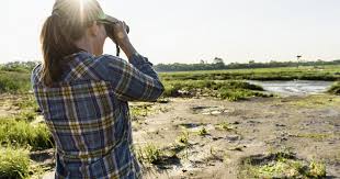 Contact The Nature Conservancy In New York