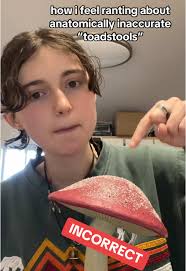 Mushroom Art: Rethinking Anatomically Inaccurate Toadstools