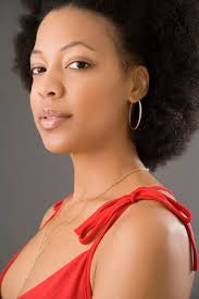 The ESSENCE Ultimate Natural Hair Dictionary