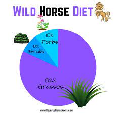 Surviving Wild Diet Of The American Mustang Helpful Horse Hints
