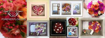 Provided to youtube by tunecoreboca raton · spaceghostpurrpvamp money℗ 2018 raider klan recordsreleased on: Forever Flowers Home Facebook