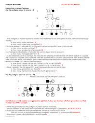 When you make a new pedigree chart, the shapes in the chart will often be some kind of rectangles. Pedigree Worksheet