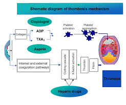 Image result for Platelet Function Closure Time