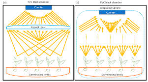Biophotons: A Hard Problem