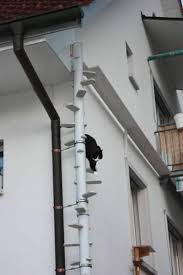 If it's outside, stick with a material that can get wet and. Letting Cat In And Out When Living In Upstairs Apartment Pets Stack Exchange