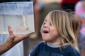 Great Hudson River Fish Count catalogs species in the river