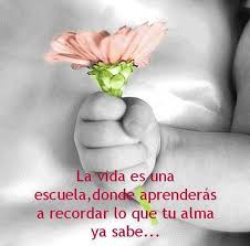 We did not find results for: Buenos Dias Bendecido Postales De Amor En La Distancia Facebook