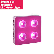 Check spelling or type a new query. Led Grow Light Online Shopping Led Lights Com
